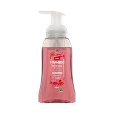 Coles Raspberry Fizz Coles Foaming Hand Wash Raspberry 250mL – Bunnasia