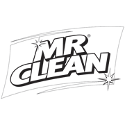 Mr Clean 450mm Steel Handled Outdoor Broom